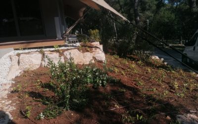 Arena One 99 Glamping